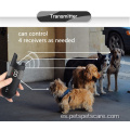 Collar de entrenamiento de ladridos de perro mascota recargable e impermeable